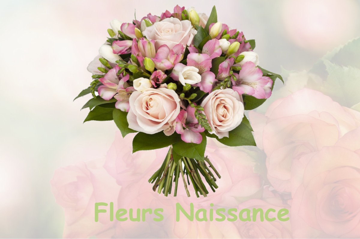 fleurs naissance CHERENCE-LE-ROUSSEL
